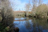 Ruta río Arenteiro no Carballiño